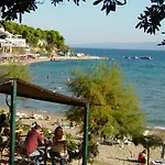 Pavelin Split